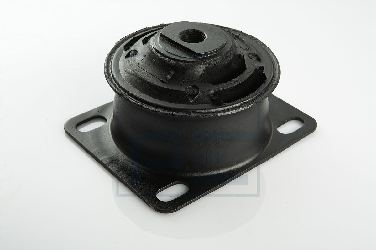 PE Automotive 010.561-00A - Lagerung, Motor