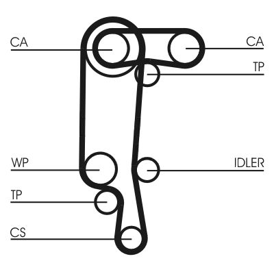 CONTINENTAL CTAM CT957(SET) - Zahnriemen