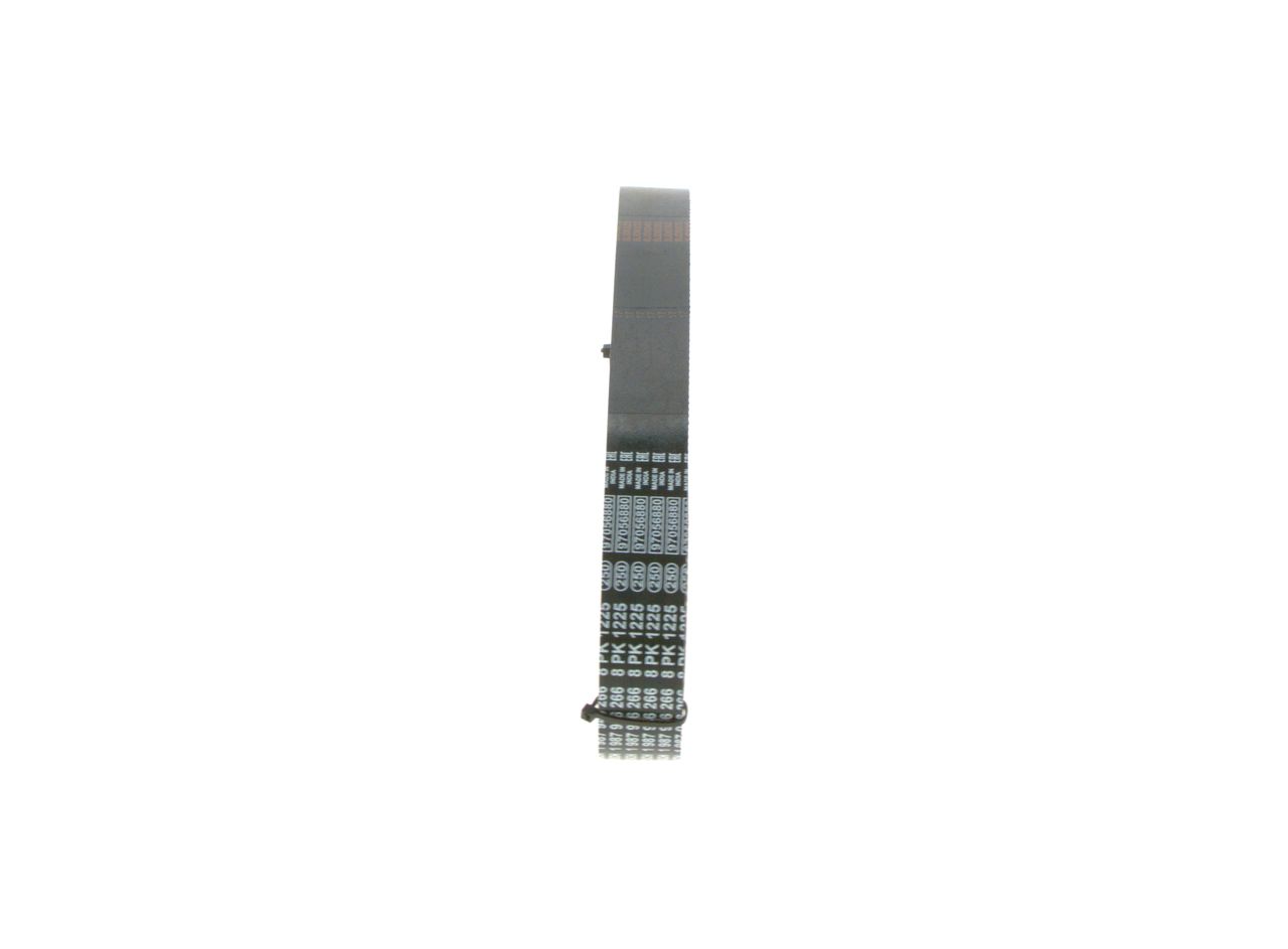 BOSCH 1 987 946 266 - Keilrippenriemen