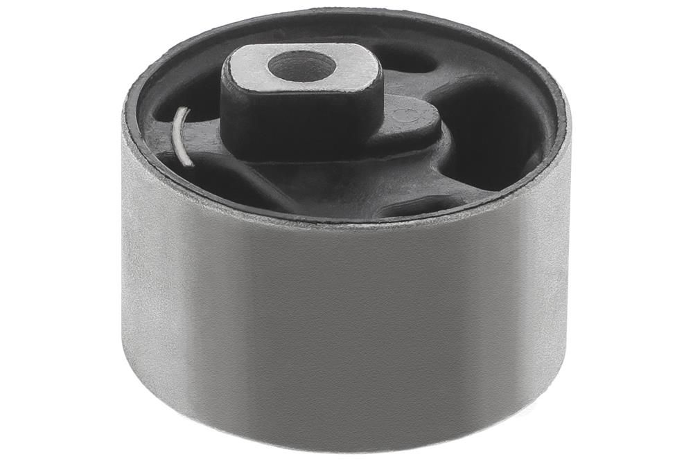 TOPRAN 102 579 - Lagerung, Motor