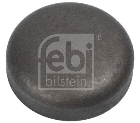 FEBI BILSTEIN 03199 - Froststopfen