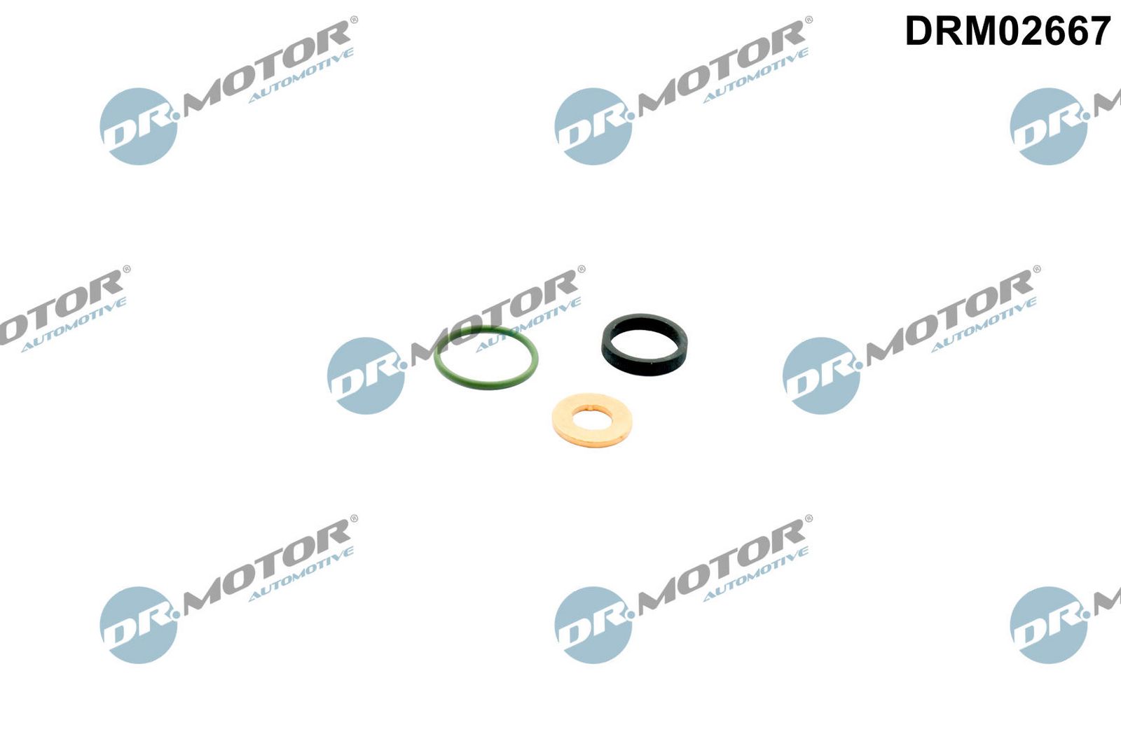Dr.Motor Automotive DRM02667 - Dichtungssatz, Einspritzdüse