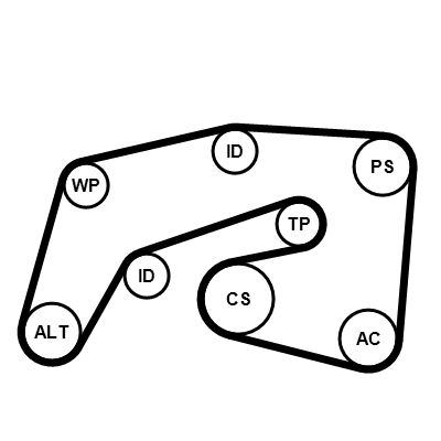 CONTINENTAL CTAM 7PK2035K1 - Keilrippenriemensatz