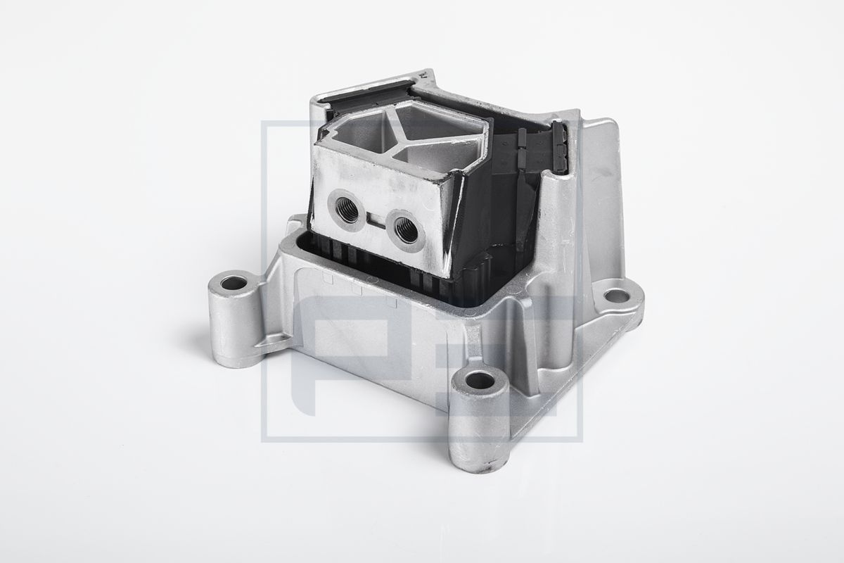 PE Automotive 030.243-00A - Lagerung, Motor