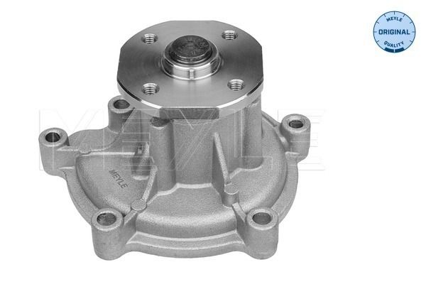 MEYLE 013 220 0008 - Wasserpumpe, Motorkühlung