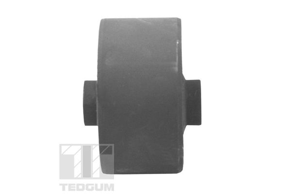 TEDGUM 00679672 - Lagerung, Motor