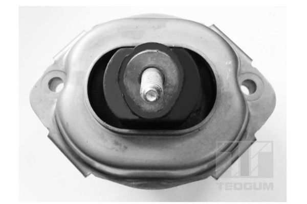 TEDGUM 00088466 - Lagerung, Motor