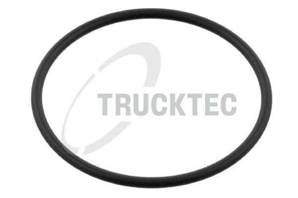 TRUCKTEC AUTOMOTIVE 02.67.254 - Dichtring