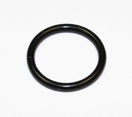 ELRING 174.080 - Dichtring