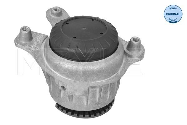 MEYLE 014 024 2200 - Lagerung, Motor