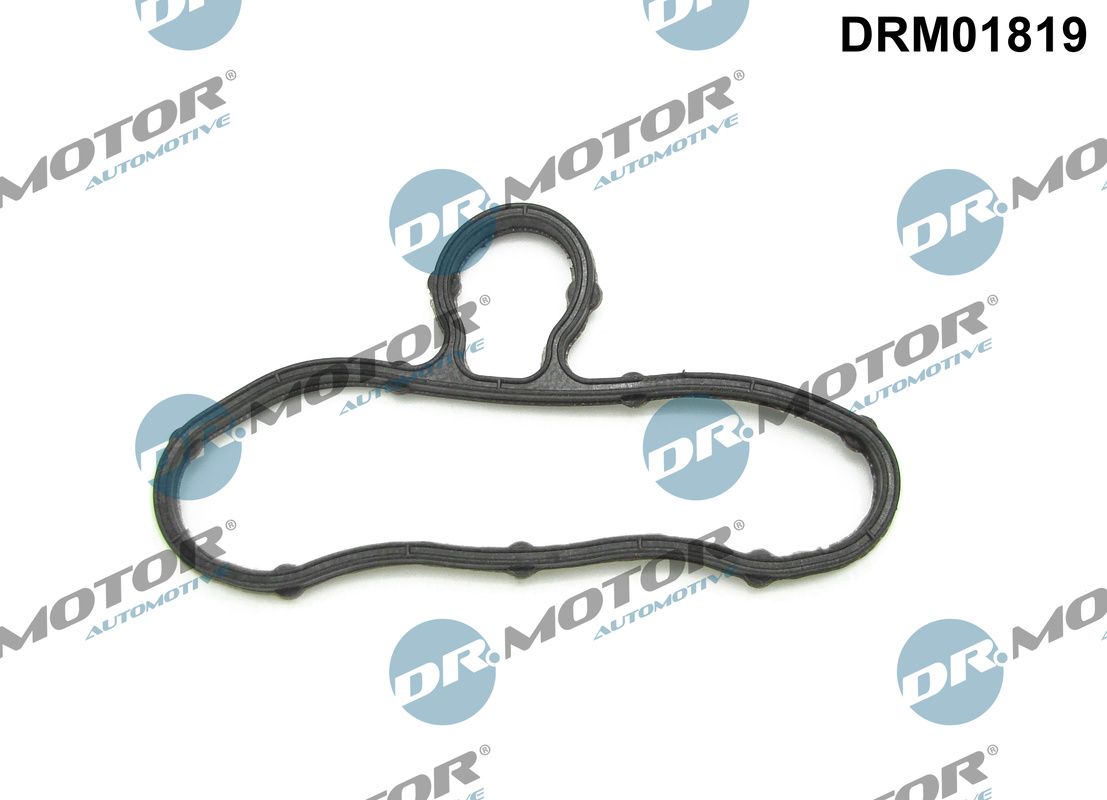 Dr.Motor Automotive DRM01819 - Dichtung, Steuergehäusedeckel