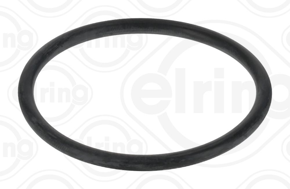 ELRING 025.880 - Dichtring