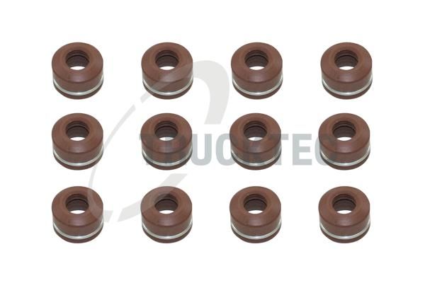 TRUCKTEC AUTOMOTIVE 02.43.116 - Dichtungssatz, Ventilschaft