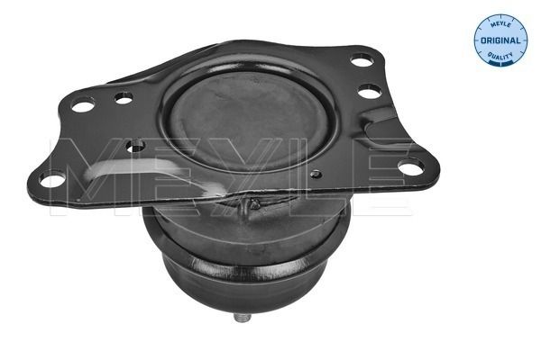 MEYLE 100 199 0230 - Lagerung, Motor