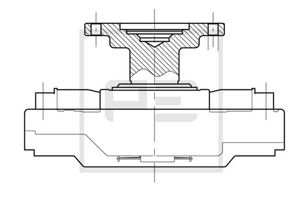 PE Automotive 020.216-00A - Kupplung, Kühlerlüfter