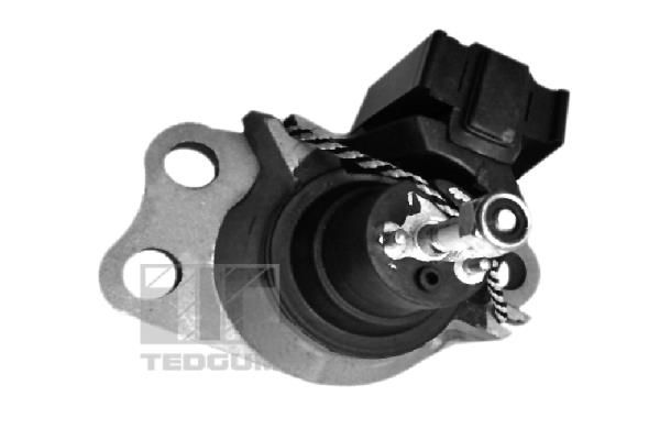 TEDGUM 00586865 - Lagerung, Motor