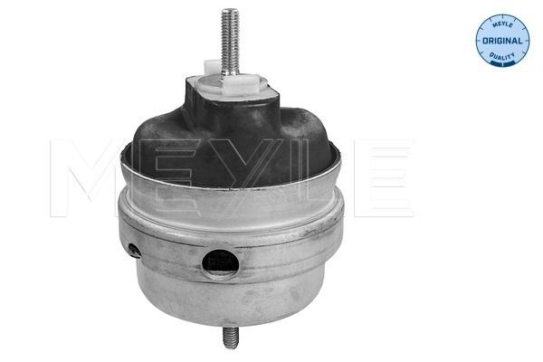 MEYLE 100 199 0189 - Lagerung, Motor