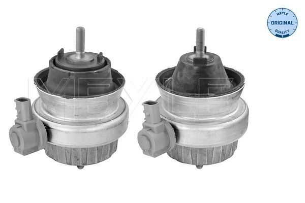 MEYLE 100 199 3000/S - Lagerung, Motor