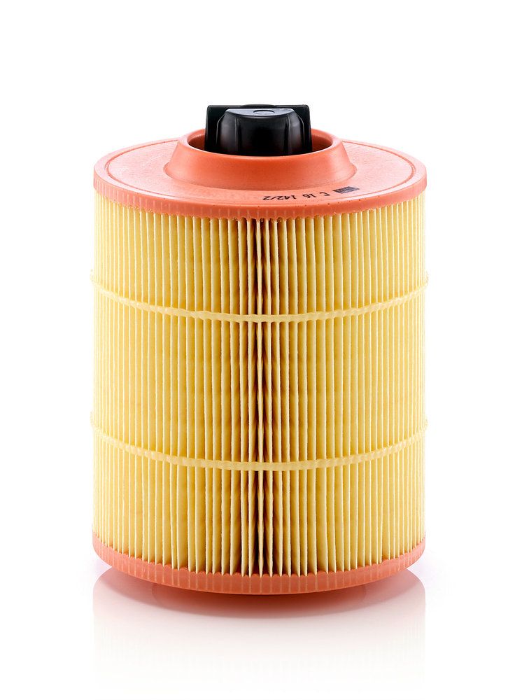 MANN-FILTER C 16 142/2 - Luftfilter