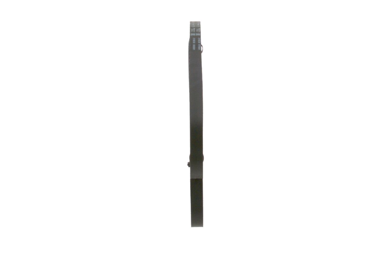 BOSCH 1 987 947 667 - Keilriemen