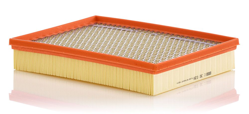 MANN-FILTER C 30 039 - Luftfilter