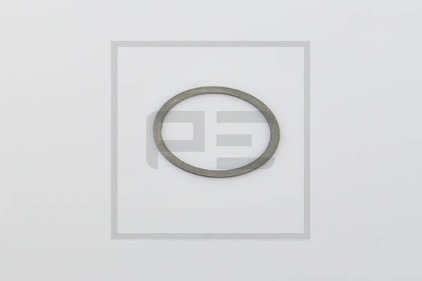 PE Automotive 016.159-10A - Distanzscheibe, Bremswelle