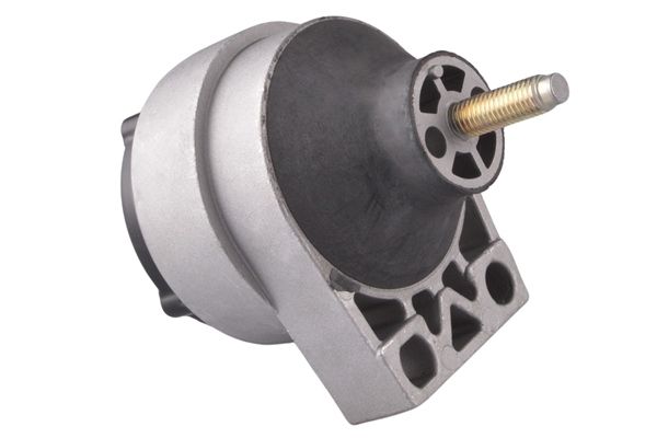 TEDGUM 00224114 - Lagerung, Motor