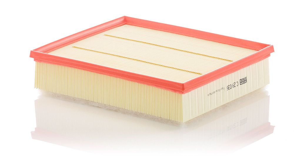 MANN-FILTER C 29 036 - Luftfilter