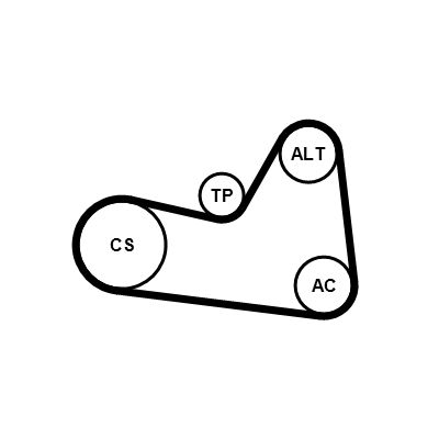 CONTINENTAL CTAM 6PK1033K1 - Keilrippenriemensatz