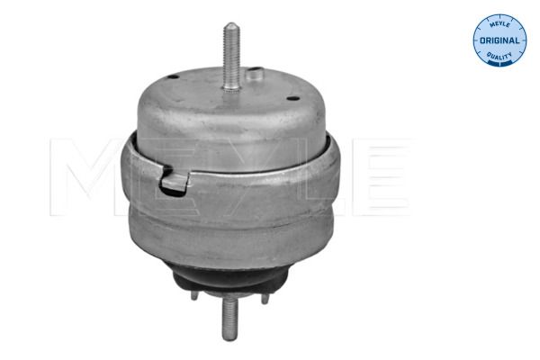 MEYLE 100 199 0180 - Lagerung, Motor