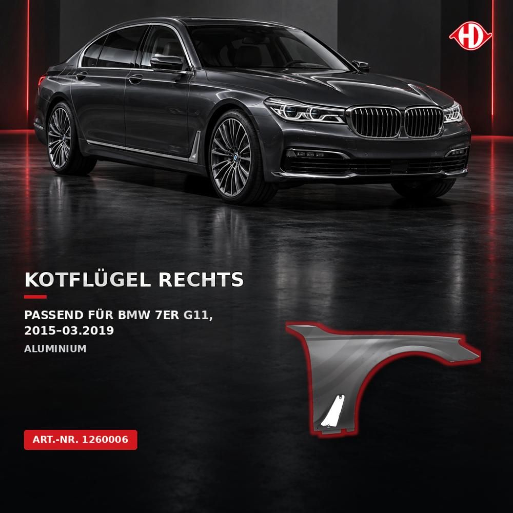 DIEDERICHS 1260006 - Kotflügel