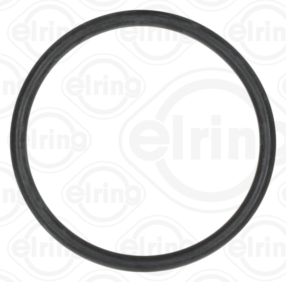 ELRING 025.880 - Dichtring