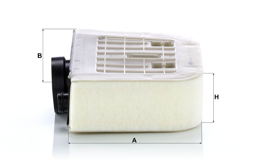 MANN-FILTER C 38 011 - Luftfilter