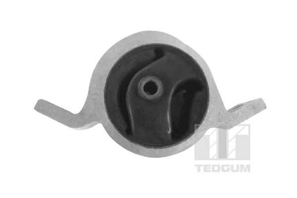 TEDGUM 00466219 - Lagerung, Motor