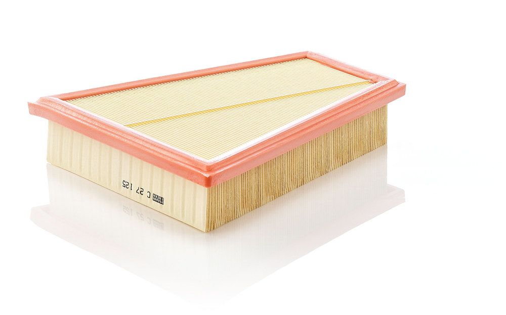 MANN-FILTER C 27 125 - Luftfilter