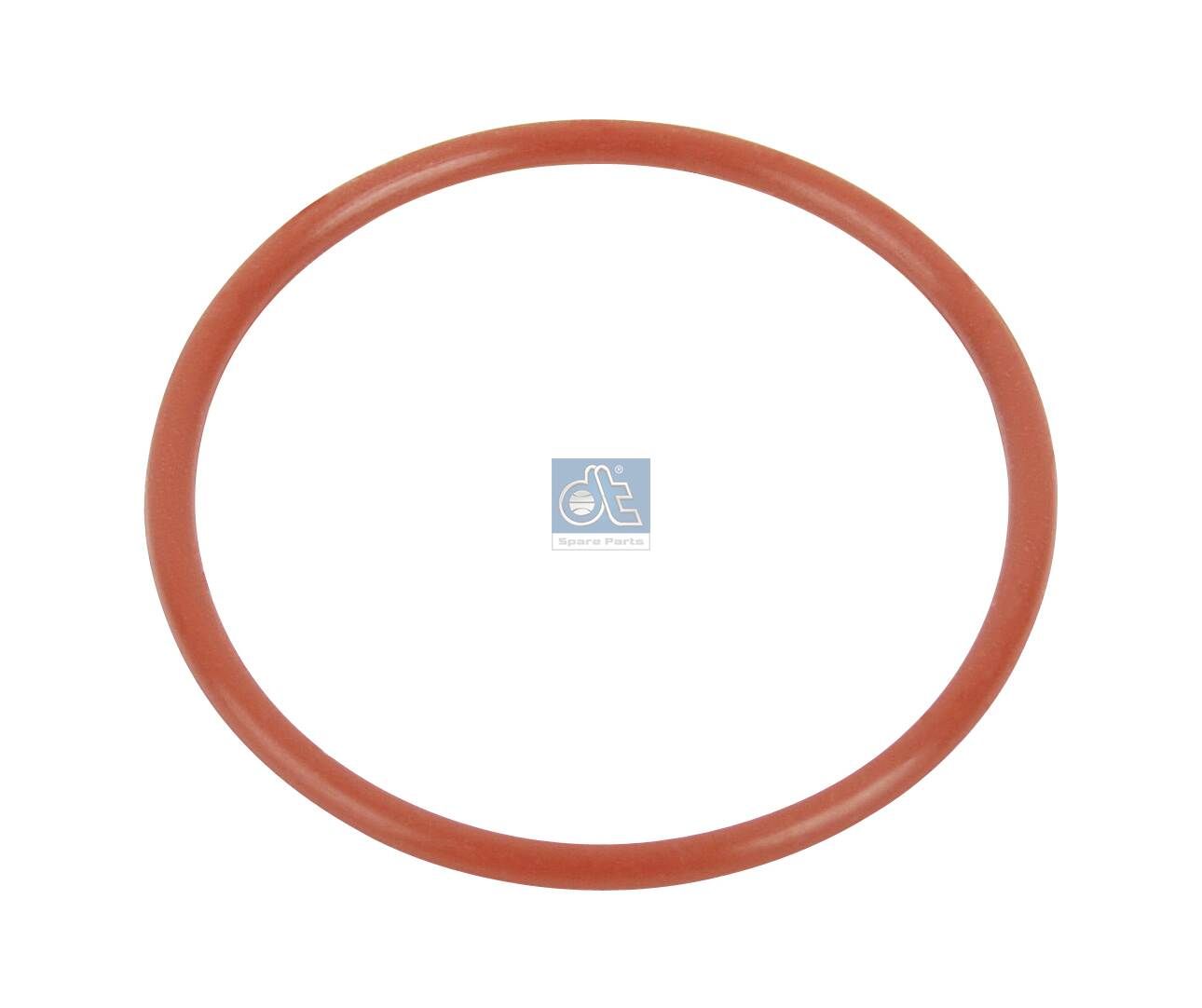 DT Spare Parts 10.23170 - Dichtring