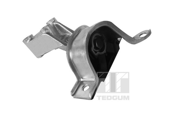 TEDGUM 00219179 - Lagerung, Motor