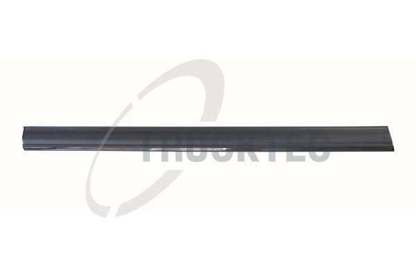 TRUCKTEC AUTOMOTIVE 02.52.132 - Zier-/Schutzleiste, Tür