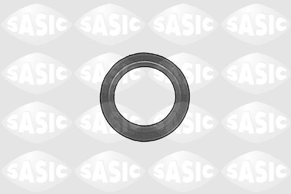 SASIC 1213093 - Wellendichtring, Differential