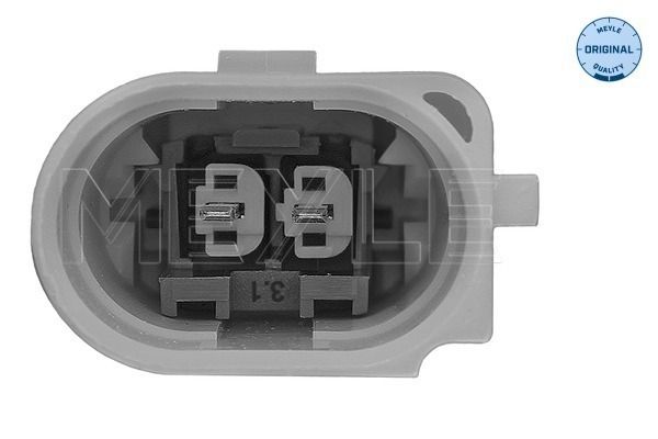 MEYLE 100 199 3107/S - Lagerung, Motor
