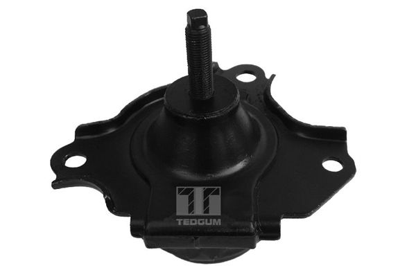 TEDGUM 00262046 - Lagerung, Motor