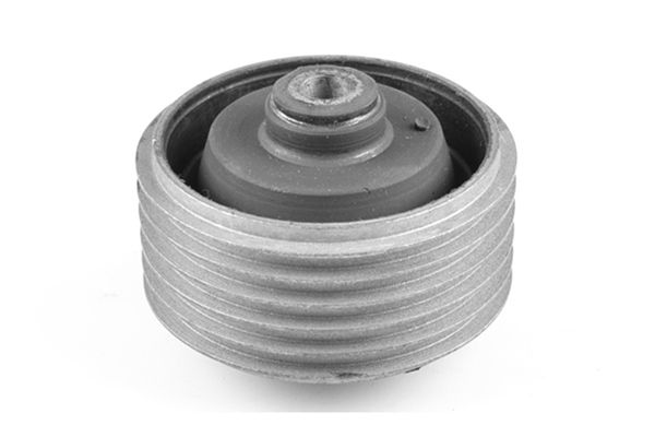 TEDGUM 00136061 - Lagerung, Motor