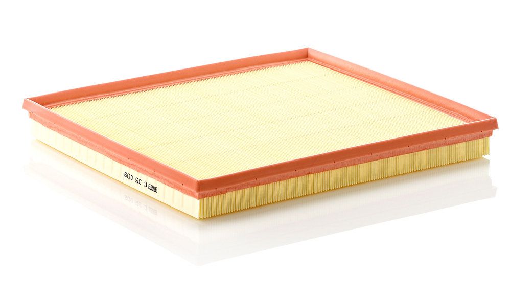 MANN-FILTER C 35 009 - Luftfilter