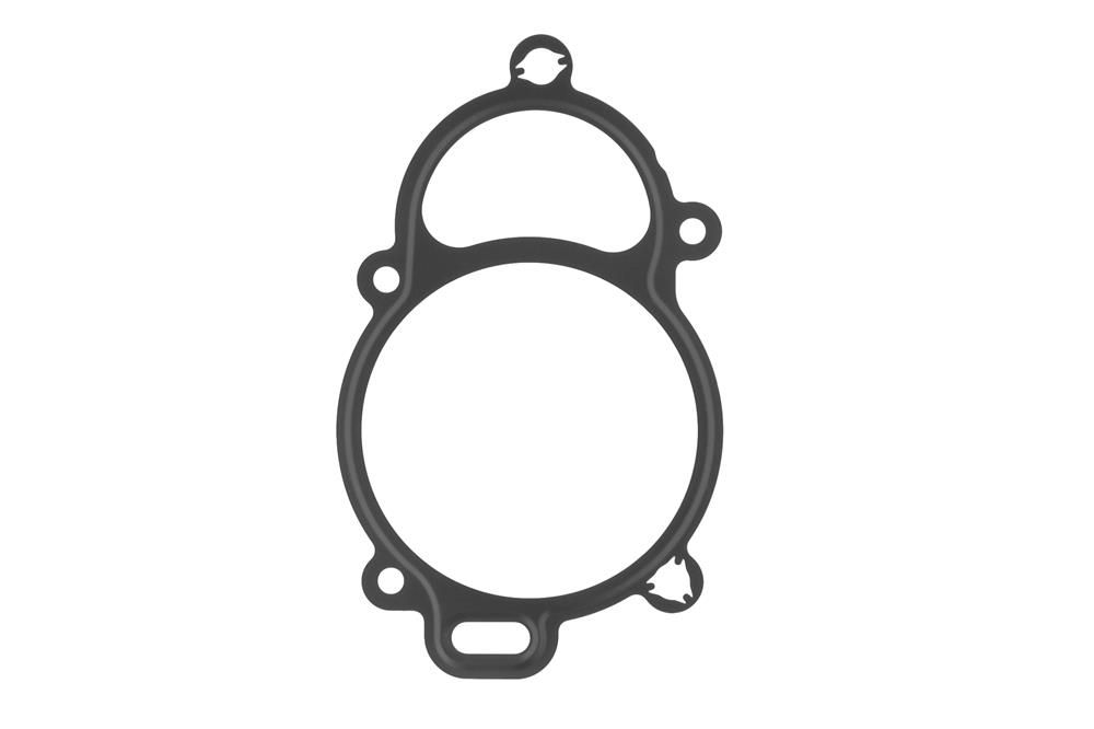 TOPRAN 117 388 - Dichtung, Nockenwellenverstellung