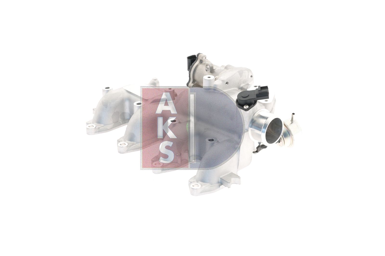 AKS DASIS 095031N - AGR-Ventil