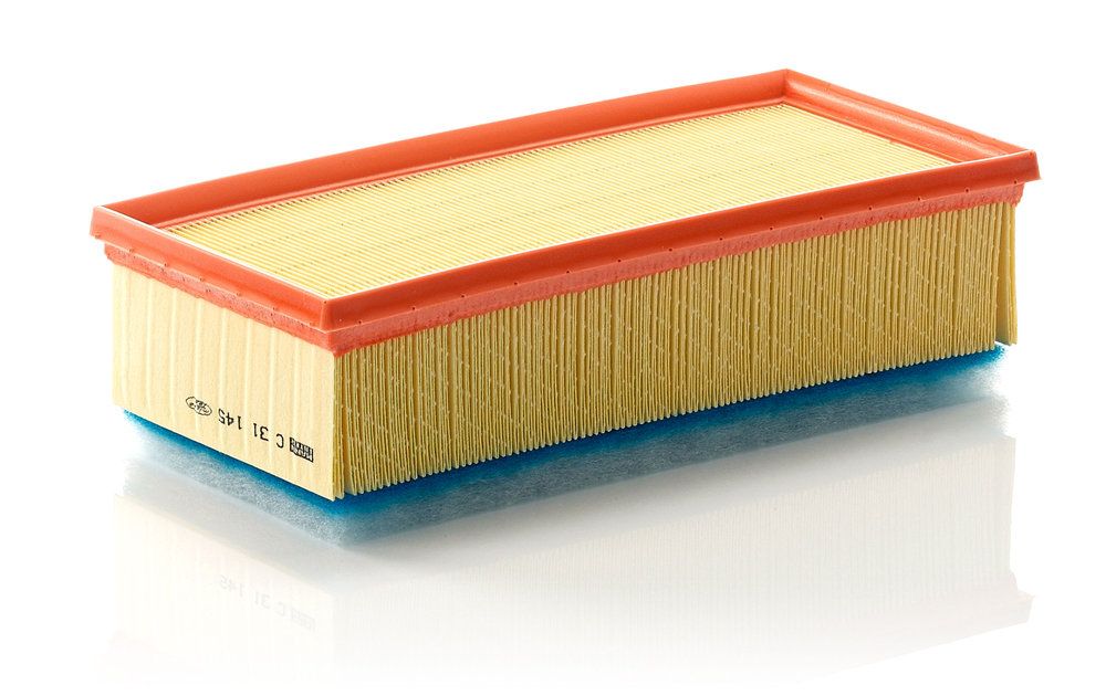 MANN-FILTER C 31 145 - Luftfilter