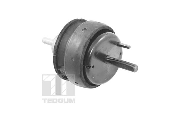 TEDGUM 00221186 - Lagerung, Motor