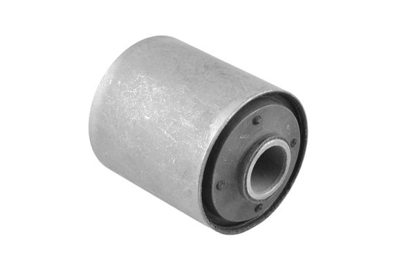 TEDGUM 00220344 - Lagerung, Blattfeder
