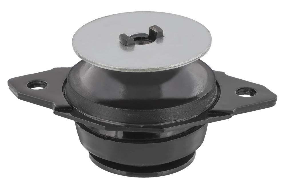 TOPRAN 103 457 - Lagerung, Motor