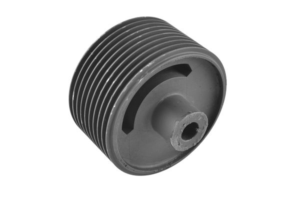 TEDGUM 00445362 - Lagerung, Motor